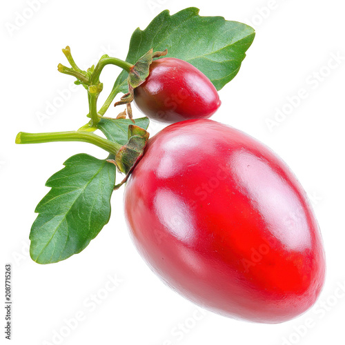 Vibrant red tamarillo fruits with green leaves and stem close-up isolated on white background