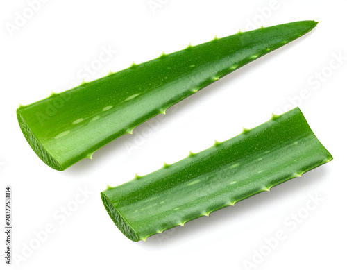 Two Aloe Vera Plant Leaves Isolated on White Background.