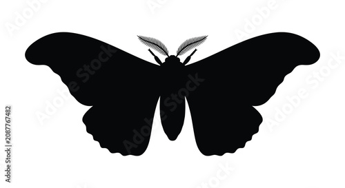 Canvastavla A detailed moth shape in black silhouette against a white background showcasing