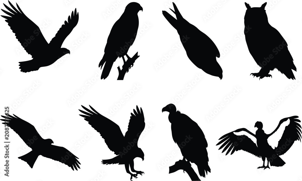 Fototapeta premium Silhouette set of birds of prey eagles hawks vultures and owls isolated on white background