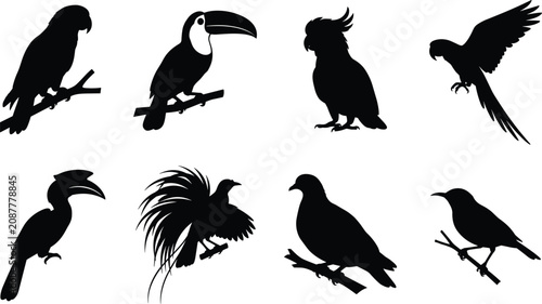Foto Silhouette set of various tropical exotic birds parrots toucan hornbill and cock