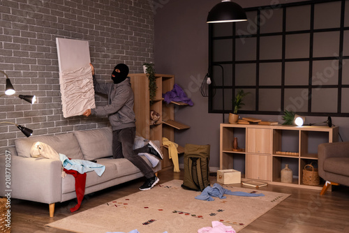Male thief stealing paintin...