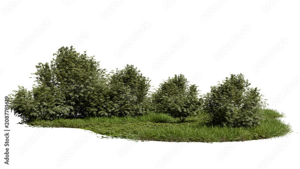 Naklejka premium Group of different trees and shrubs is growing on a grassy patch under bright sunlight. The plants have varying heights and shapes in this natural outdoor space. 3d render