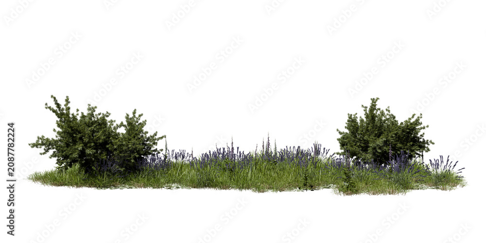 Naklejka premium The scene features green shrubs and tall grasses with purple flowers. The plants grow in a natural arrangement under bright daylight. The area has no visible human presence. 3d render