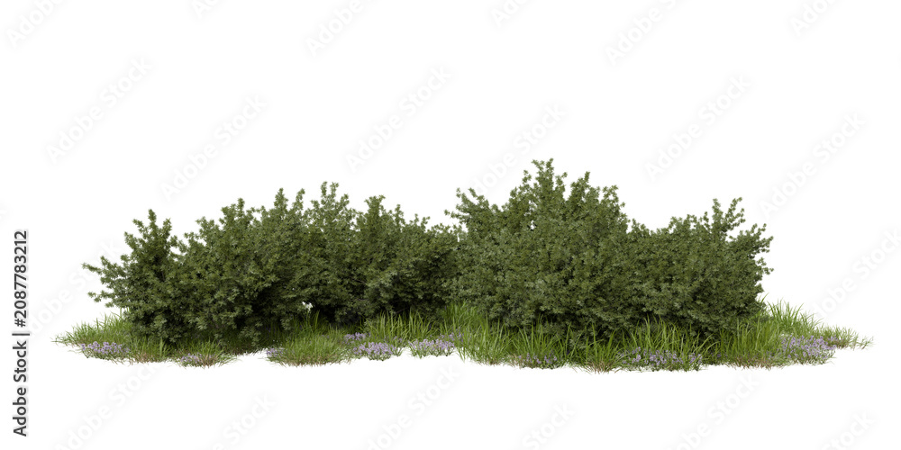 Naklejka premium Multiple bushes with green leaves stand together on a patch of grass. Small flowers and grass grow around the bases of the bushes, filling the space with foliage. 3d render