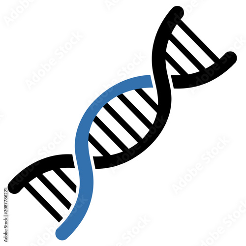 DNA Double Helix Structure