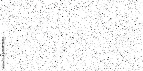 Fotografía A subtle, abstract background composed of fine, scattered black speckles on a white canvas, creating a delicate, textured effect