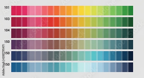 Vibrant Color Palette Swatches Displaying a Spectrum of Hues and Tones.