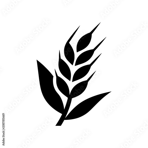 Fotografie Wheat icon featuring a refined grain stalk with balanced proportions and elegant geometry