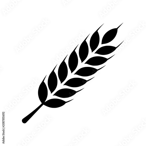 Foto Wheat icon featuring a refined grain stalk with balanced proportions and elegant geometry