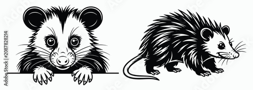 Canvastavla Funny Possum Silhouette Bundle Hand Drawn Black White, Cute Opossum Vector Illus