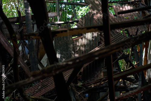 Foto Collapsed abandoned wooden house with rusted corrugated metal roof reclaimed by