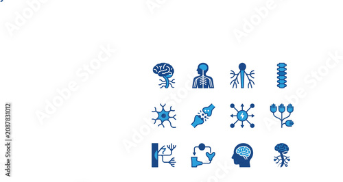 Neurology brain nervous system and anatomy medical flat line vector icon set