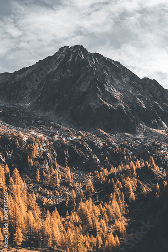 sunset in the mountains with low afternoon light and golden autumn forest