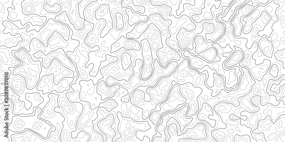 Fototapeta premium Topographic map pattern with wavy lines and contours on white background
