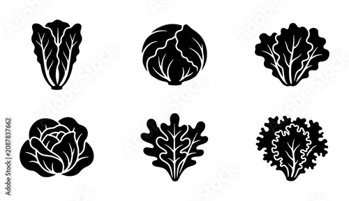 Quadro su tela Salad Greens Vector Icons: Diverse Leafy Vegetables, Healthy Food Graphics, Orga