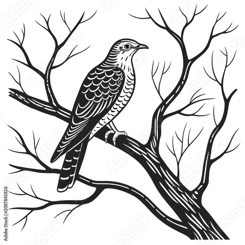Принти на полотні Cuckoo Bird Sitting on Tree Branch Image Vector isolated on white background