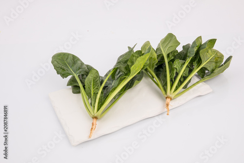 시금치 채소 