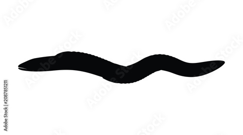Wavy eel silhouette against a white background silhouette