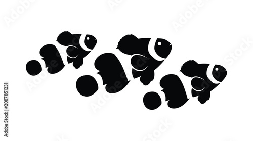 Quadro su tela Clownfish School Silhouette Against White Background amphiprioninae