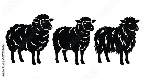 Fotografija Three Sheep Silhouettes In Black And White Minimalist Style Silhouette