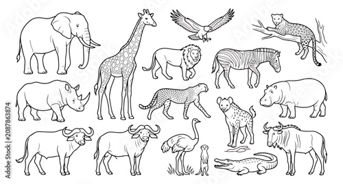 Photography African safari animals line art collection, hand drawn wild savanna wildlife vec