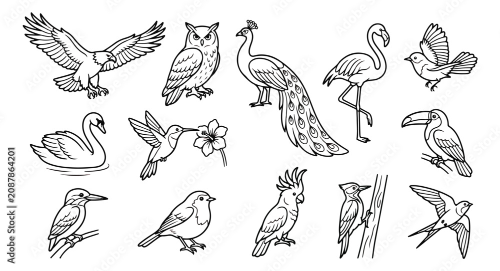 Fototapeta premium Minimalist bird line art collection, set of 13 wild bird vector icons, black and white avian illustrations for coloring and logo design