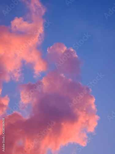 Pink clouds against blue sky at sunset. Beautiful soft light during golden hour in nature. Atmospheric meteorological phenomenon and weather background for creative design project.