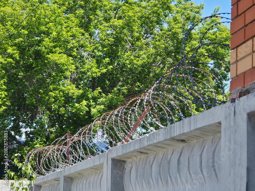 Barbed wire on top of a concrete wall. Security barrier protecting property from intruders. Steel coils for perimeter defense and restricted area access control in urban environment.