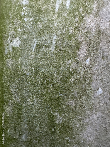 Mossy green and gray weathered concrete surface texture