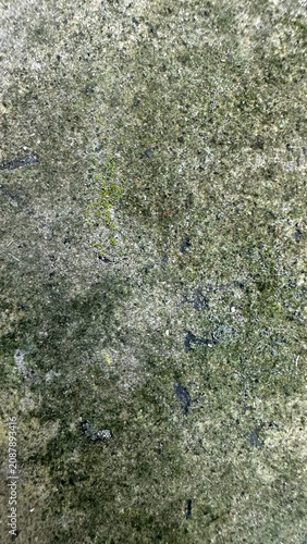 Weathered concrete surface with green moss and algae patches