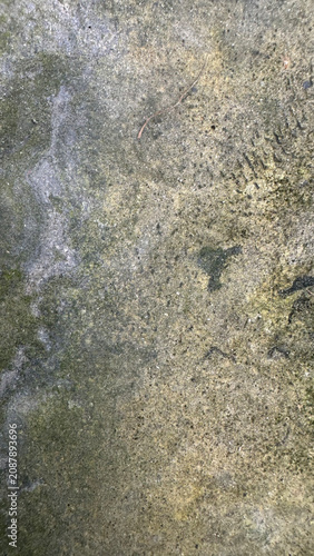 Weathered concrete surface with green moss and gritty texture