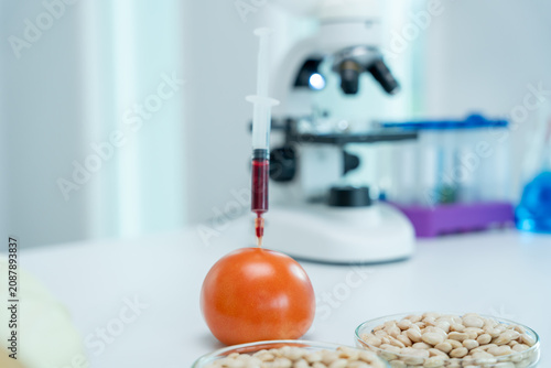 Bild auf Leinwand Scientist GMO for food residues in laboratory