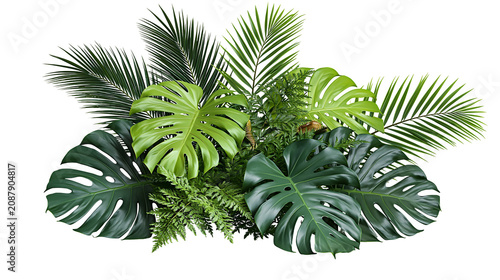 Lush green monstera and palm leaves arrangement, isolated on transparent background