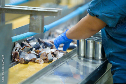 Close-up of a food factory worker's hands sorting and checking food products on an automated industrial conveyor belt line during the canning production process in a hygienic facility.