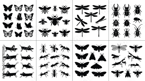 Fotografía Collection of black insect silhouettes featuring butterflies, bees, dragonflies,