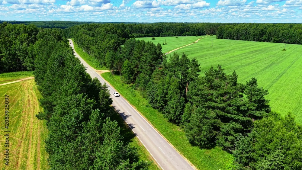 Naklejka premium Aerial view of winding asphalt road bordered by green trees and vibrant grass fields in summer