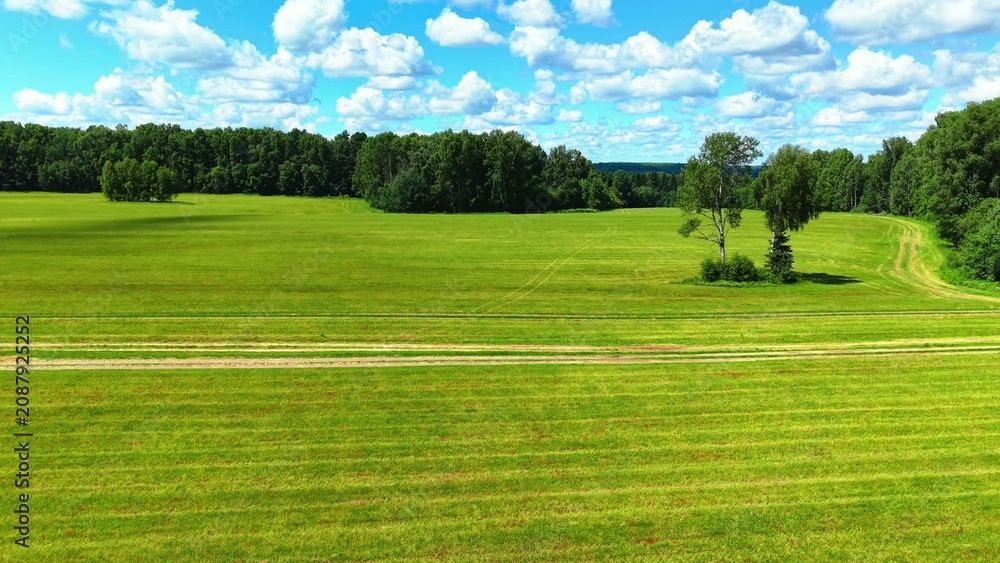 Naklejka premium Vast emerald green grass field under a clear blue sky with fluffy white clouds