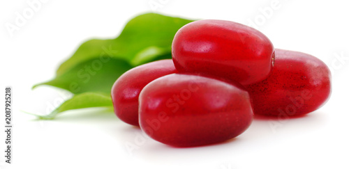 Cornelian cherry berries with green leaves on white background
