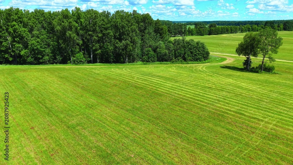 Fototapeta premium Green grass field with cut patterns and trees under a bright blue sky view