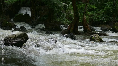 Dynamic shot of a fast-flowing river with whitewater crashing against large boulders and mossy rocks. Beautiful waterfall flows down amidst a lush green tropical rainforest during the rainy season. 