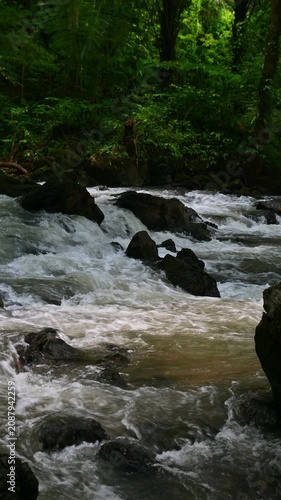 Vertical video shot of rushing river water flowing through rocks in a lush green tropical forest, Tao Thong Waterfall in Thailand.