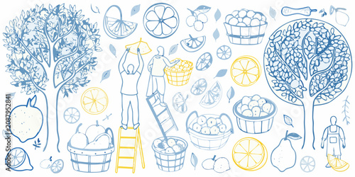 Obraz na plátně Lemon Harvest Illustration With Trees Fruit And Baskets