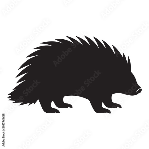 Photos porcupine silhouette.