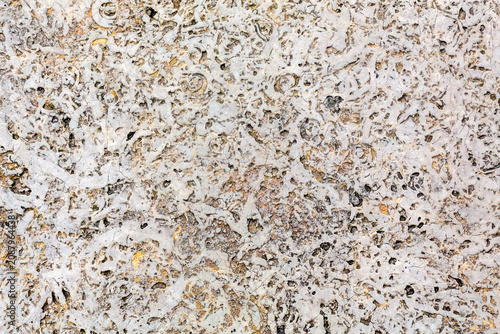 Obraz na plátně Background of the intricate, variegated surface of shell rock, with its characte