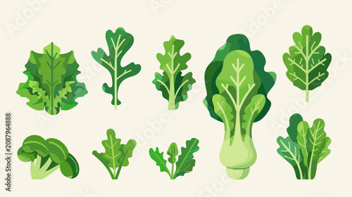 Cuadro en lienzo Assorted Leafy Greens Vector Icons Romaine Butter Lettuce Arugula Kale Spinach O