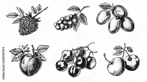 Εκτύπωση καμβά Vintage Botanical Engraving Set Of Six Ink Fruit Illustrations Featuring Strawbe