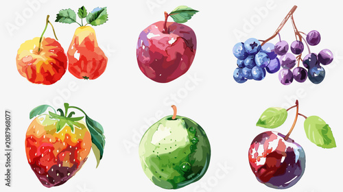 Watercolor Assorted Fresh Fruit Illustrations Including Pears Apples Grapes Strawberry Plum and