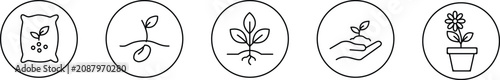 Photos Set of five line icons representing seed bag, seedling, plant, hand holding seed