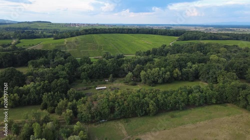 Aerial View of Dambach-La-Ville Vineyards and Forest in France. Swerving tracking Shot over Green Landscape with Lush Trees and Vineyards in Summer.